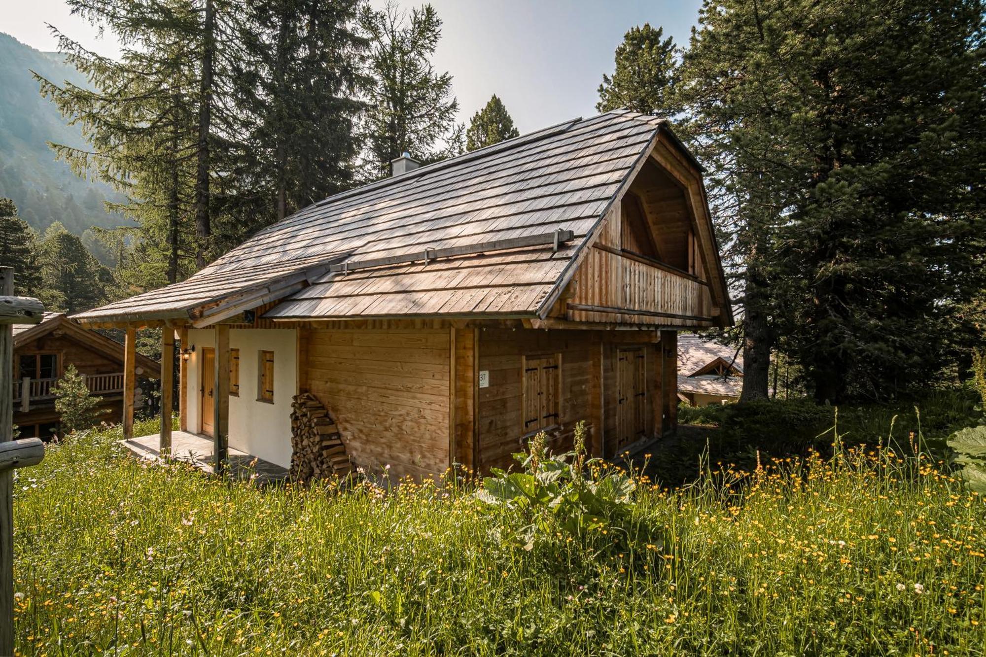 Hébergement de vacances Alpin-huetten Auf Der Turracherhoehe Haus Murmeltier By S4y *