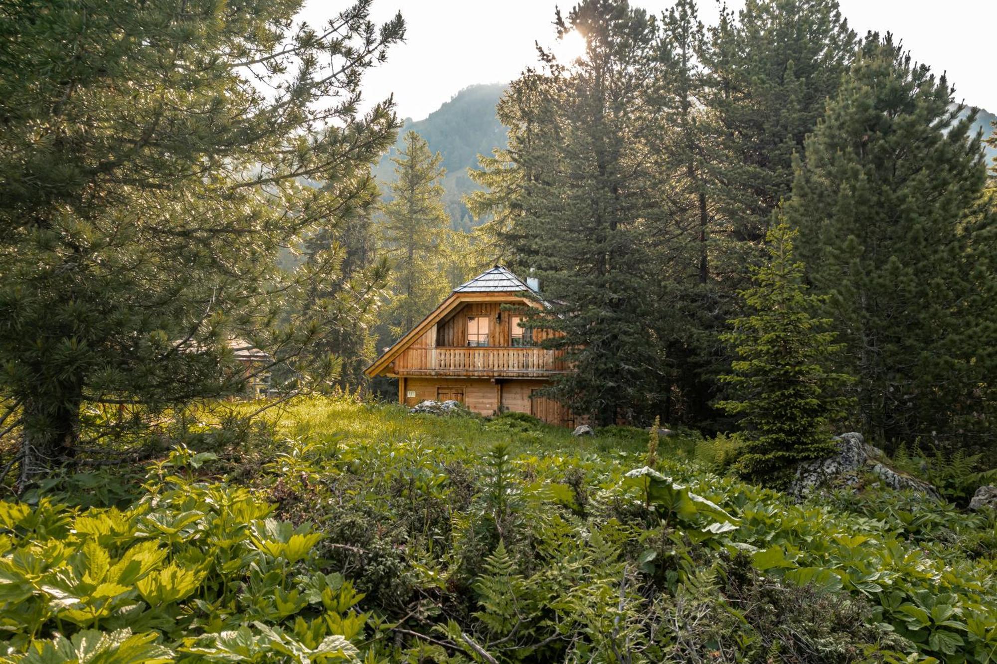 Hébergement de vacances Alpin-huetten Auf Der Turracherhoehe Haus Murmeltier By S4y Turracher Hohe